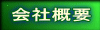 ЊTv