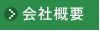 ЊTv