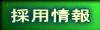 ЊTv
